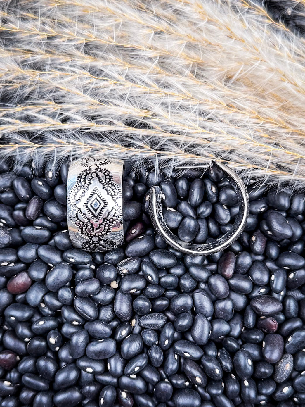 Wild Mesa Fashion Hoop Earrings