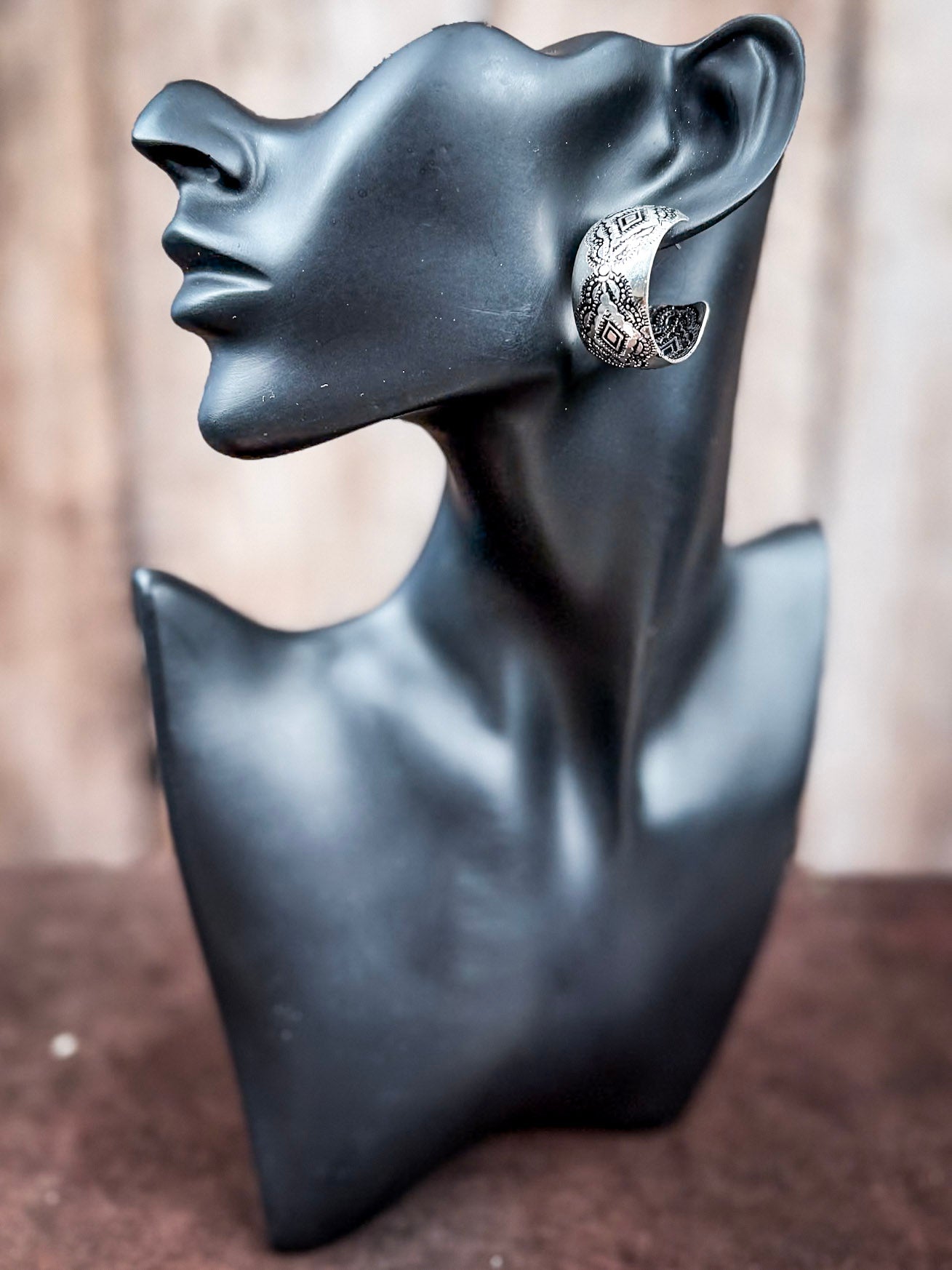 Wild Mesa Fashion Hoop Earrings