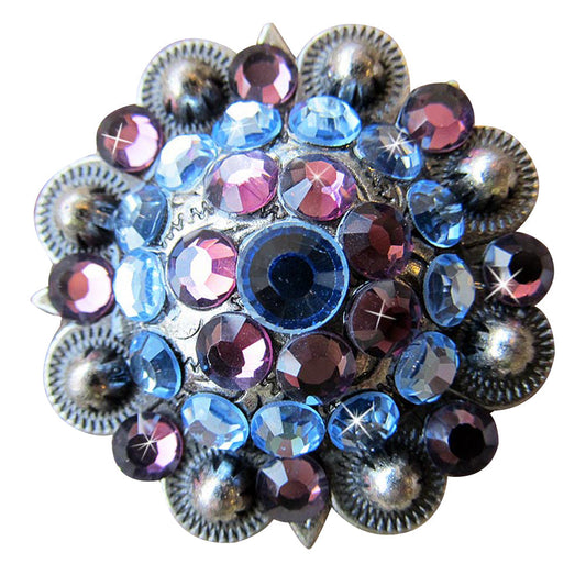 Western Screw Back Concho Amethyst Sapphire Crystal Headstall Cowgirl