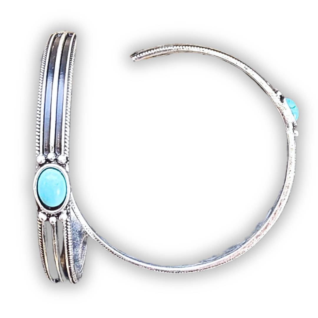 Darla Hoop Fashion Earring - Silver/Turquoise